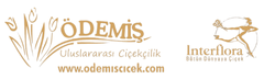 Ödemiş Çiçekçilik
